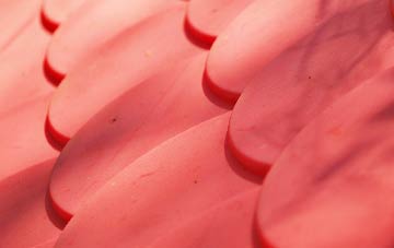 Drumintee plastic roof costs